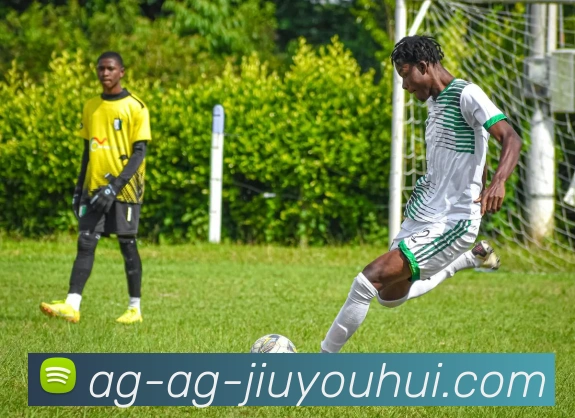 AG九游会官网平台生态图